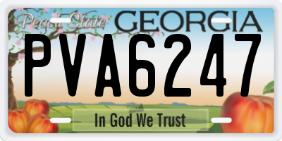 GA license plate PVA6247