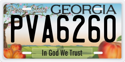 GA license plate PVA6260