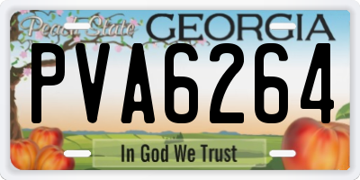 GA license plate PVA6264