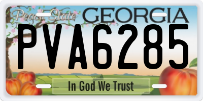 GA license plate PVA6285