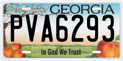 GA license plate PVA6293