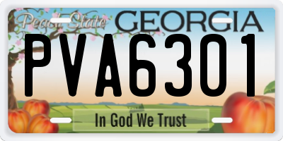 GA license plate PVA6301