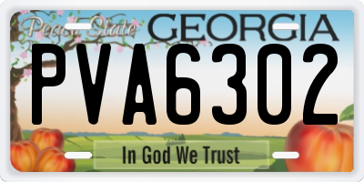 GA license plate PVA6302