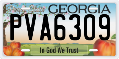 GA license plate PVA6309