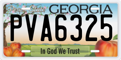 GA license plate PVA6325