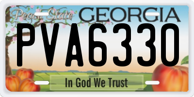 GA license plate PVA6330