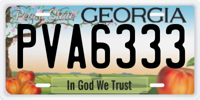 GA license plate PVA6333