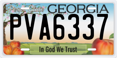 GA license plate PVA6337