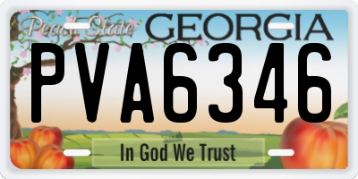 GA license plate PVA6346