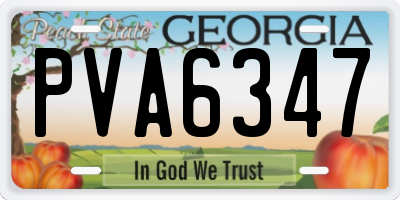 GA license plate PVA6347