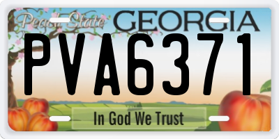 GA license plate PVA6371