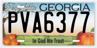 GA license plate PVA6377