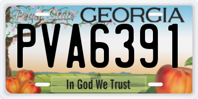 GA license plate PVA6391