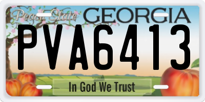 GA license plate PVA6413