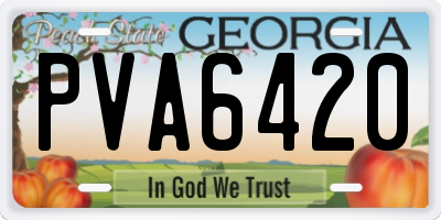 GA license plate PVA6420