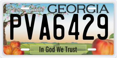 GA license plate PVA6429