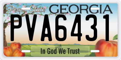GA license plate PVA6431