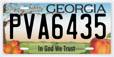 GA license plate PVA6435