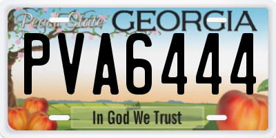 GA license plate PVA6444