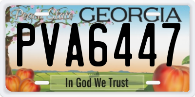 GA license plate PVA6447