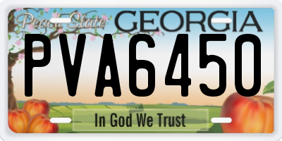 GA license plate PVA6450