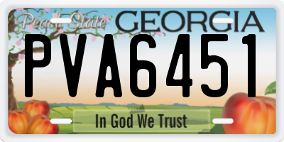 GA license plate PVA6451