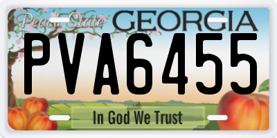 GA license plate PVA6455