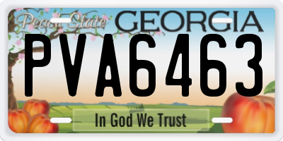GA license plate PVA6463