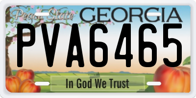 GA license plate PVA6465