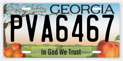 GA license plate PVA6467