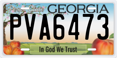 GA license plate PVA6473