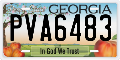GA license plate PVA6483