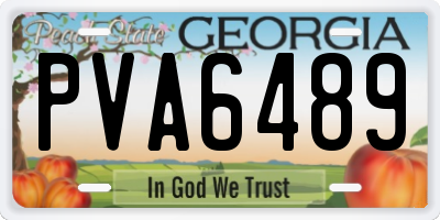 GA license plate PVA6489