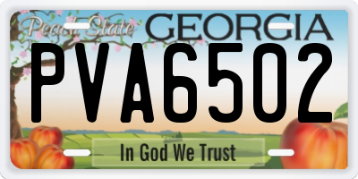 GA license plate PVA6502