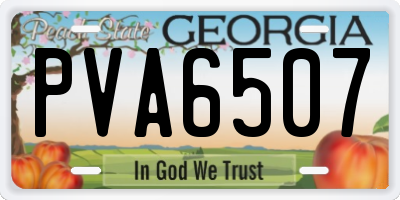 GA license plate PVA6507