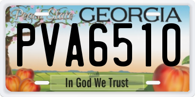 GA license plate PVA6510