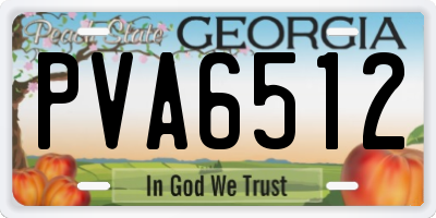 GA license plate PVA6512