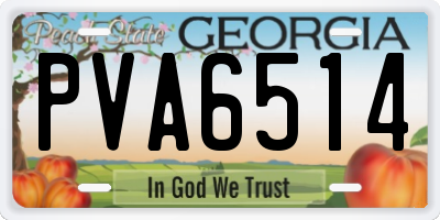 GA license plate PVA6514