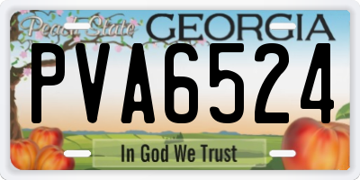 GA license plate PVA6524