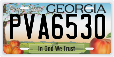 GA license plate PVA6530