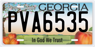 GA license plate PVA6535