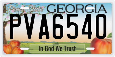 GA license plate PVA6540