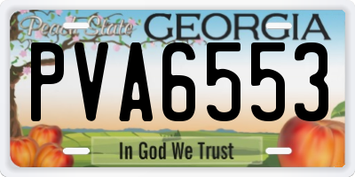 GA license plate PVA6553
