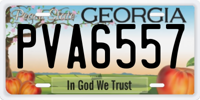 GA license plate PVA6557