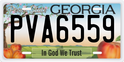 GA license plate PVA6559