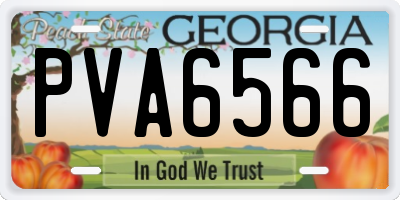 GA license plate PVA6566