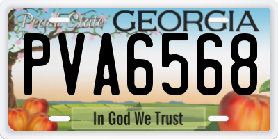 GA license plate PVA6568