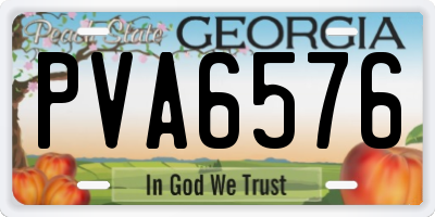 GA license plate PVA6576