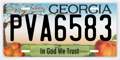GA license plate PVA6583