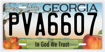 GA license plate PVA6607